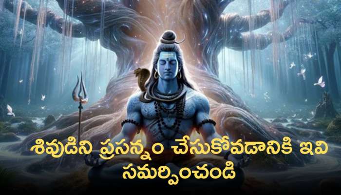 Sravana Masam 2024: శ్రావణమాసంలో శివుడికి ఇవి సమర్పించడం వల్ల జన్మ ధన్యం అవుతుంది !!