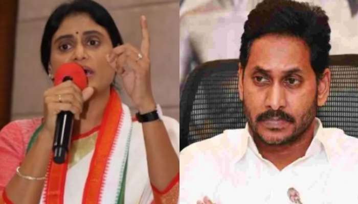 YS Sharmila: జగనన్న.. సిగ్గు సిగ్గు!! ఇంత పిరికితనమా?.. మాజీ సీఎం పై రెచ్చిపోయిన వైఎస్ షర్మిల..