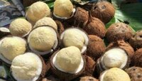 Coconut flower: వావ్.. కొబ్బరి పువ్వుతో కోటి ప్రయోజనాలు.. ఇవి తెలిస్తే అస్సలు విడిచి