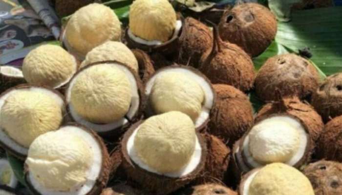 Coconut flower: వావ్.. కొబ్బరి పువ్వుతో కోటి ప్రయోజనాలు.. ఇవి తెలిస్తే అస్సలు విడిచిపెట్టరు..