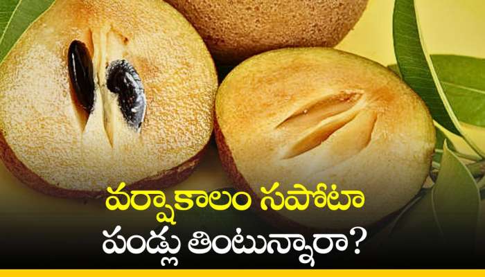 Sapodilla Benefits: వర్షాకాలం సపోటా పండ్లు తింటున్నారా? ఇవి తప్పకుండా తెలుసుకోండి!