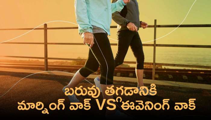 Walking: బరువు తగ్గడానికి ఉదయం వాకింగ్ మంచిదా లేక సాయంత్రం వాకింగ్ మంచిదా..?