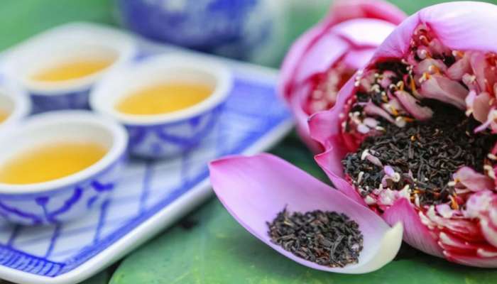 Lotus Tea: షుగర్‌ లెవెల్స్‌ను కంట్రోల్‌ చేయడంలో ఈ టీ ఒక దివ్య ఔషధం!!