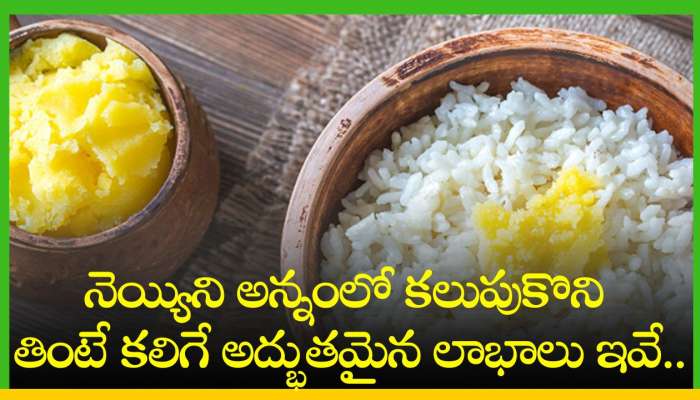 Ghee And Rice: నెయ్యిని అన్నంలో కలుపుకొని తింటే కలిగే అద్భుతమైన లాభాలు ఇవే..