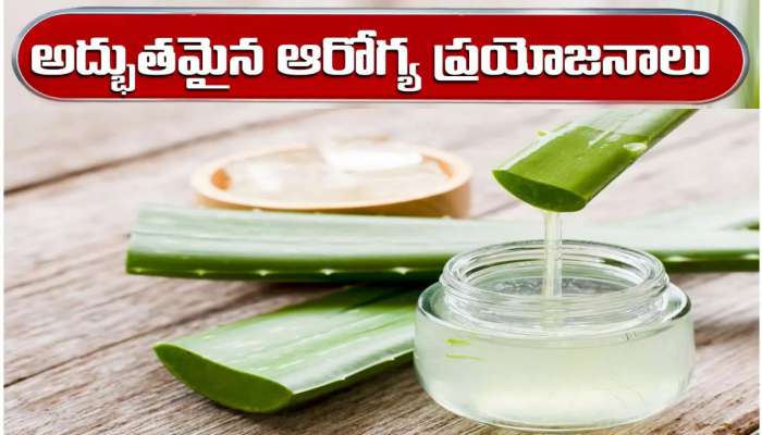 Aloe Vera Juice: కలబంద జ్యూస్ తాగితే ఆరోగ్యం మీ సొంతం!