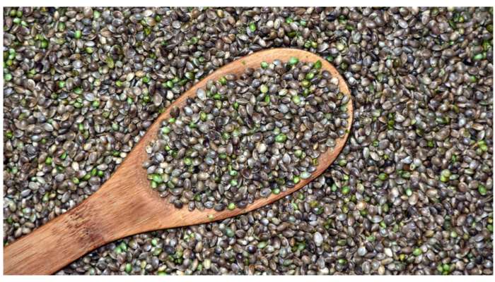 Hemp Seeds Benefits: ఈ గింజ మీ ఇంట్లో ఉంటే చాలు ఆరోగ్యం మీ చెంతే.. ఇలా మీ డైట్ లో చేర్చుకోండి..