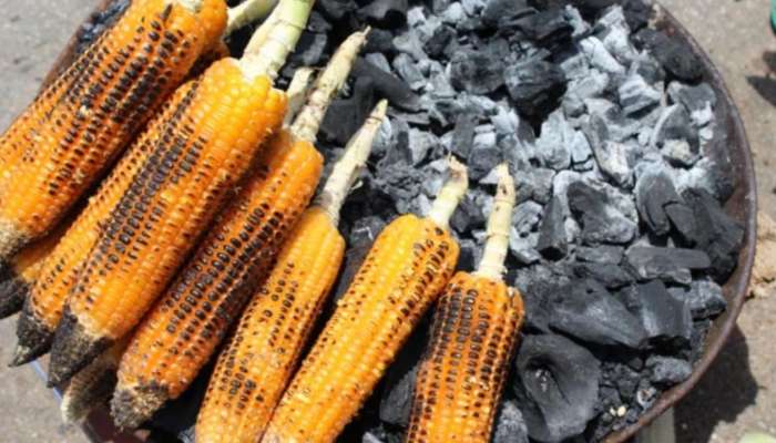 Burnt Maize Benefits: వర్షాకాలంలో కాల్చిన మొక్కజొన్న తినడం వల్ల ఇన్ని లాభాలు కలుగుతాయా!!