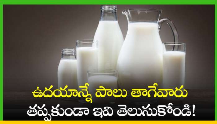 Milk Benefits: ఉదయాన్నే పాలు తాగేవారు తప్పకుండా ఇవి తెలుసుకోండి!