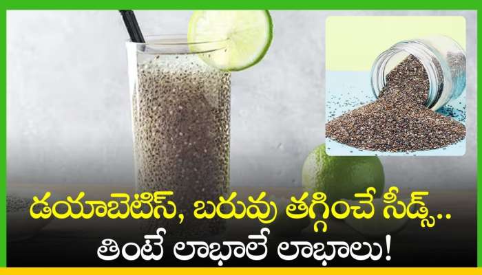 Chia Seeds Benefits: డయాబెటిస్‌, బరువు తగ్గించే సీడ్స్‌.. తింటే లాభాలే లాభాలు!