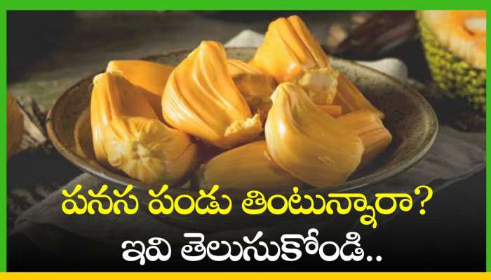 Jackfruit Benefits: పనస పండు తింటున్నారా? ఇవి తెలుసుకోండి..