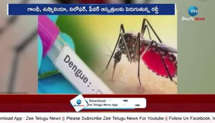 Dengue Fever Cases Rising In Telangana Viral Fevers State