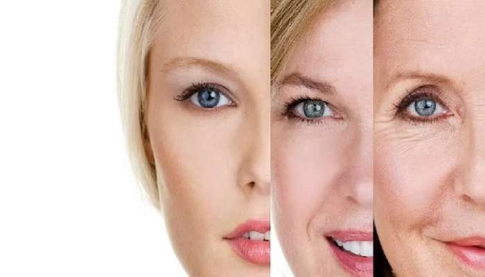 Anti Ageing Foods: మీ డైట్ ఇలా మార్చుకుంటే ఏజియింగ్‌కు చెక్, మీ వయస్సు పదేళ్లు వెనక్కి