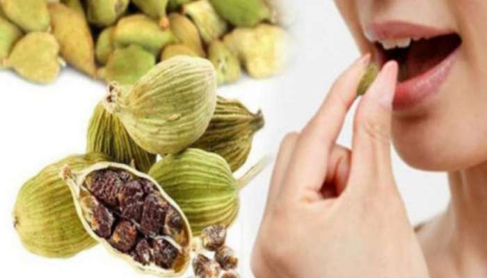 Elaichi Benefits: ప్రతిరోజు యాలకులు తింటే అద్భుమైన ప్రయోజనాలు కలుగుతాయి!