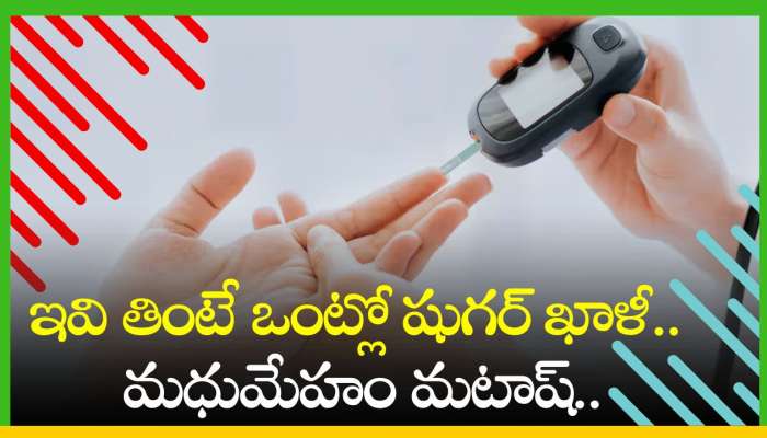 Control Diabetes: ఇవి తింటే ఒంట్లో షుగర్‌ ఖాళీ.. మధుమేహం మటాష్‌..