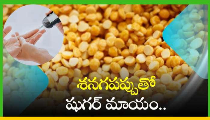 Chana Dal in Blood Sugar: శనగపప్పుతో షుగర్‌ మాయం.. అలాగే ఈ 5 లాభాలు కూడా..