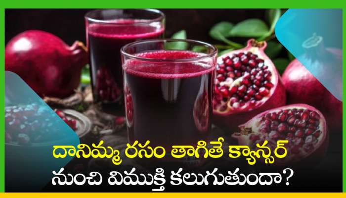 Pomegranate Juice: దానిమ్మ రసం తాగితే క్యాన్సర్ నుంచి విముక్తి కలుగుతుందా..ఏయే వ్యాధులకు చెక్ పెడుతుంది?