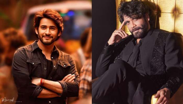 Nagarjuna: మహేష్ బాబు బాటలో నాగార్జున.. ఆ విషయంలో సూపర్ స్టార్ ను గుడ్డిగా ఫాలో అవుతున్న కింగ్.. 