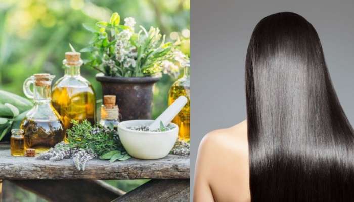 Natural Tips For Black Hair: నెలరోజుల్లో తెల్ల జుట్టు నల్లగా అవ్వడానికి నేచురల్ చిట్కాలు!!