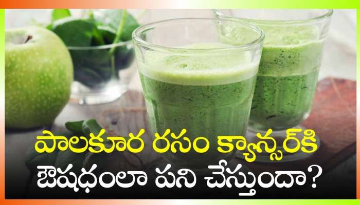  Spinach Juice Benefits: పాలకూర రసం క్యాన్సర్‌కి ఔషధంలా పని చేస్తుందా? ఇవి తప్పకుండా తెలుసుకోండి!