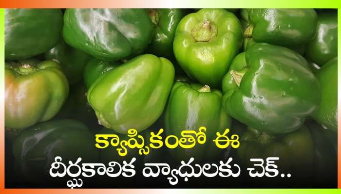 Capsicum Benefits: క్యాప్సికంతో ఈ దీర్ఘకాలిక వ్యాధులకు చెక్.. ఏంటి నమ్మట్లేదా?