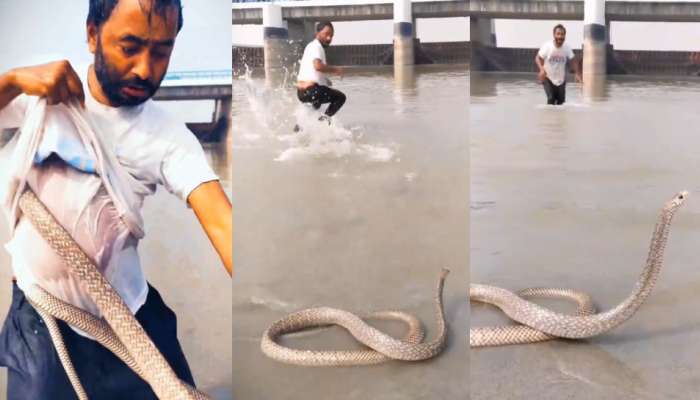 Snake video: వామ్మో.. ఇదేక్కడి మాస్  రా మావా... షర్ట్ లో దూరిన భారీ సర్పం.. వైరల్ గా మారిన వీడియో.. 