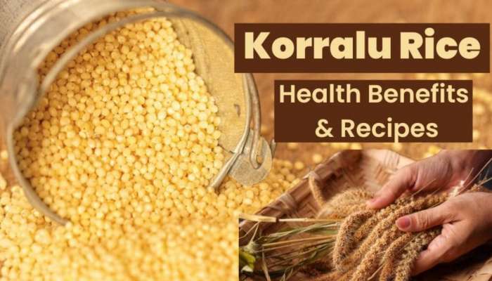 Korralu Rice: కొర్ర అన్నం తయారీ విధానం, లాభాలు ఇవే!!