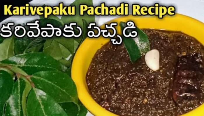 Karivepaku Pachadi: జుట్టు నల్లగా పెరగడానికి కరివేపాకు పచ్చడి.. తయారీ విధానం 