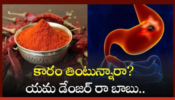 Chilli Powder Side Effects: కారం తింటున్నారా? యమ డేంజర్ రా బాబు..