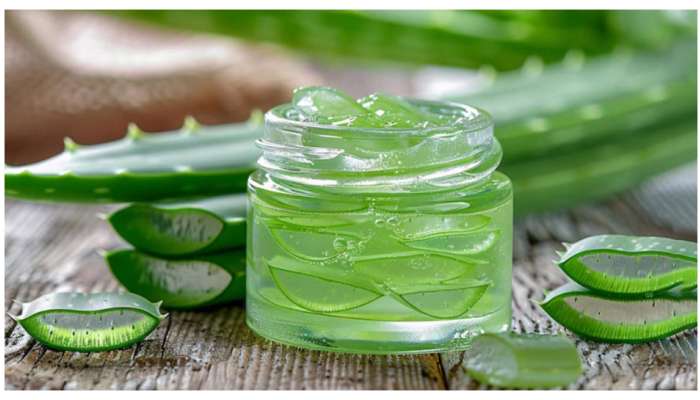 Aloevera Serum: కలబంద హెయిర్‌ సీరమ్‌ ఖర్చు లేకుండా ఇంట్లోనే తయారు చేసుకోండి..