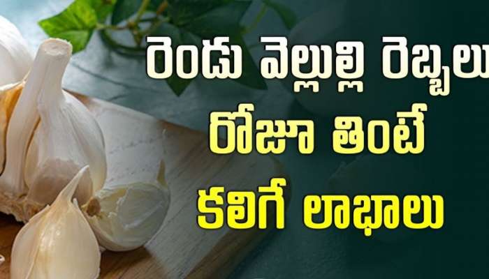 Garlic For Cholesterol: ప్రతిరోజు రెండు వెల్లుల్లి రెబ్బలు తింటే ఈ సమస్యలకు చెక్‌!!