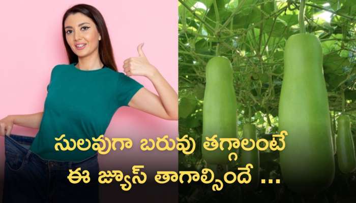 Gourd Juice: పొట్లకాయ జ్యూస్‌తో  1 నెలలో 5 కిలోలు తగ్గడం ఖాయం!!