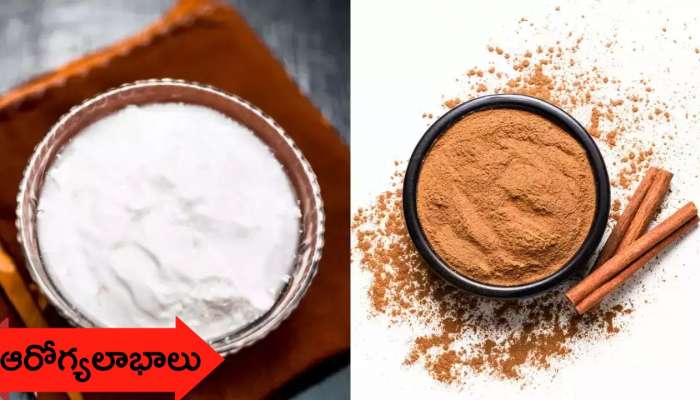 Curd And Cinnamon Powder: గడ్డ పెరుగులో దాల్చిన చెక్క పొడి కలుపుకొని తింటే.. జరిగే మ్యాజిక్‌ ఇదే!!