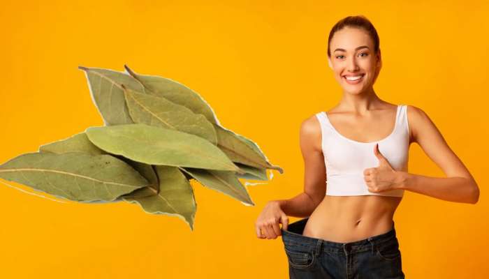 Biryani Leaf Benefits: బిర్యానీ ఆకు వల్ల ఇన్ని ఉపయోగాలు ఉన్నాయా??