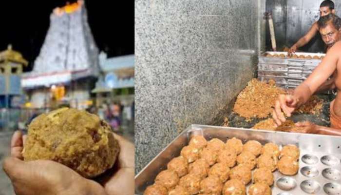 Tirumala Laddu: తిరుపతి లడ్డూలపై టీటీడీ కీలక ప్రకటన.. పుకార్లకు ఫుల్‌స్టాప్‌!