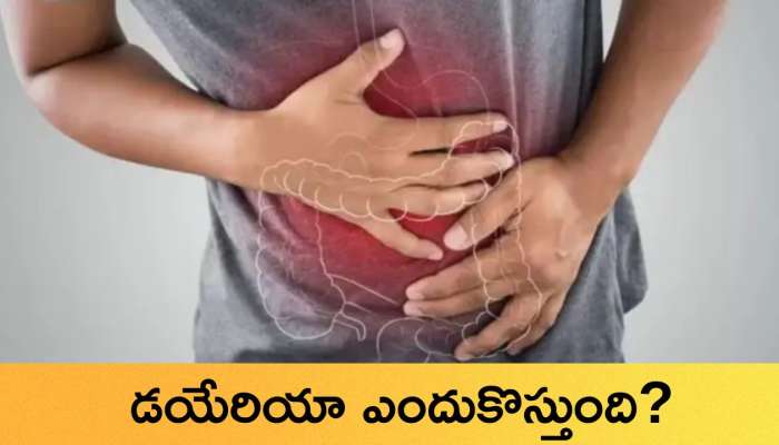 Diarrhea: డయేరియా ఎందుకొస్తుంది? తీసుకోవాల్సిన జాగ్రత్తలు ఏంటి..