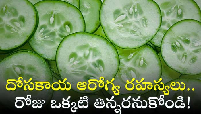 Cucumber Health Secrets: దోసకాయ ఆరోగ్య రహస్యలు.. రోజు ఒక్కటి తిన్నరనుకోండి..!