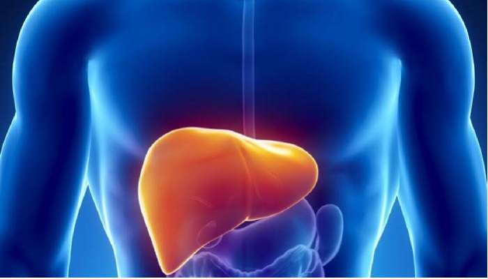 Fatty Liver Tips: ఫ్యాటీ లివర్ సమస్య ఉంటే ఈ 4 పండ్లు అస్సలు తినకూడదు