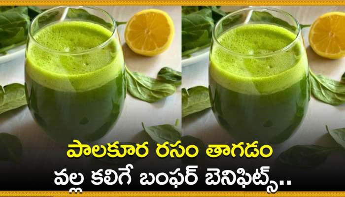 Spinach Juice Benefits: పాలకూర రసం తాగడం వల్ల కలిగే బంఫర్ బెనిఫిట్స్.. వద్దన్నా బరువు తగ్గడం ఖాయం..