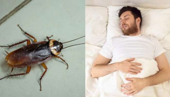 Cockroach: వామ్మో.. మూడు రోజులపాటు వ్యక్తి గొంతులో బొద్దింక.. ఆ తర్వాత ఏంజరిగిందో తెలిస్తే షాక్ అవుతారు..