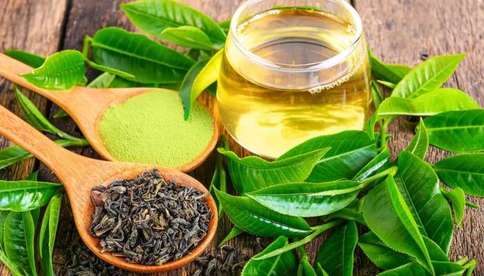 Green Tea: గ్రీన్ టీ తాగుతున్నారా? తస్మాత్.. జాగ్రత్త ఈ విషయాలు తెలుస్తే షాక్ అవుతారు..