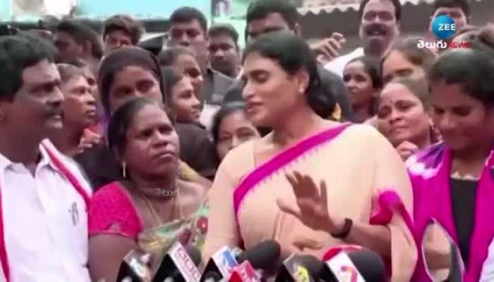 sharmila hot commets on chandrababu naidu pa