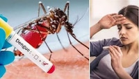 Dengue Remedies: ఈ 5 జ్యూస్‌లు తాగితే డెంగ్యూ ముప్పు నుంచి కాపాడుకోవచ్చు