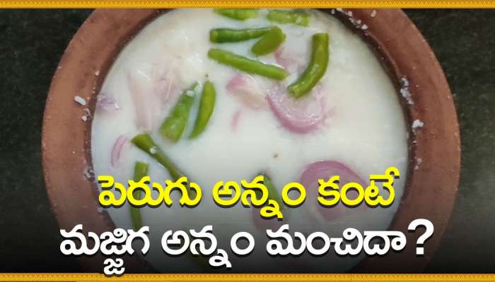 Majjiga Annam Benefits: పెరుగు అన్నం కంటే మజ్జిగ అన్నం మంచిదా? 