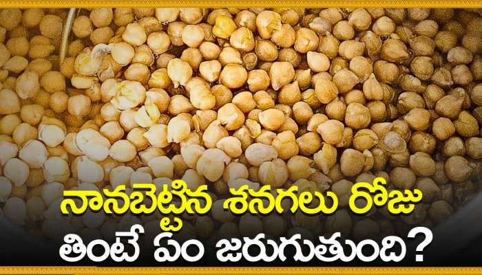 Soaked Chickpeas Benefits: నానబెట్టిన శనగలు రోజు తింటే ఏం జరుగుతుంది?