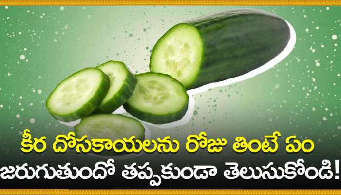 Cucumber Benefits: కీర దోసకాయలను రోజు తింటే ఏం జరుగుతుందో తప్పకుండా తెలుసుకోండి!