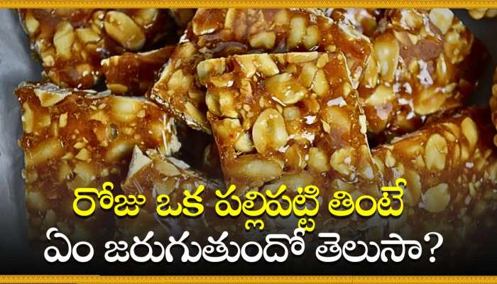  Peanut Chikki Facts: రోజు ఒక పల్లిపట్టి తింటే ఏం జరుగుతుందో తెలుసా?