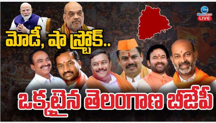 Telangana BJP: మోడీ, షా స్ట్రోక్.. ఒక్కటైన తెలంగాణ బీజేపీ నేతలు.. 