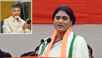 YS Sharmila: ఆ విషయంలో చంద్రబాబు నోరు విప్పాలి.. ట్విటర్‌లో నిలదీసిన వైఎస్‌ షర్మిల