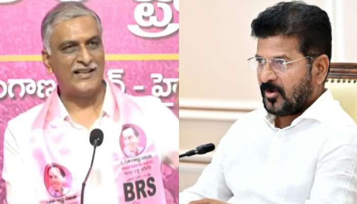 Harish rao: సీఎం నోటి కంపు మోరీల్ని మించిపోయింది.. మరోసారి పంచ్ లు వేసిన హరీష్ రావు .. వీడియో..