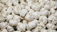 Garlic Side Effects: చైనీస్ వెల్లుల్లితో జాగ్రత్త, కోమాలో వెళ్లే ప్రమాదం